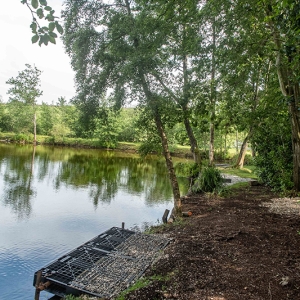 Redwell   17 06 2020   D500   Les 410.jpg